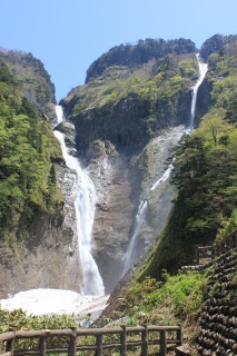 5月称名滝