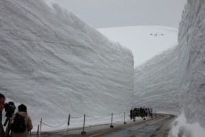 雪の大谷